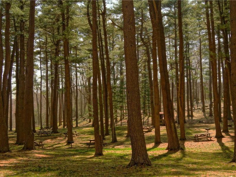 sudoku number placement screenshot 6