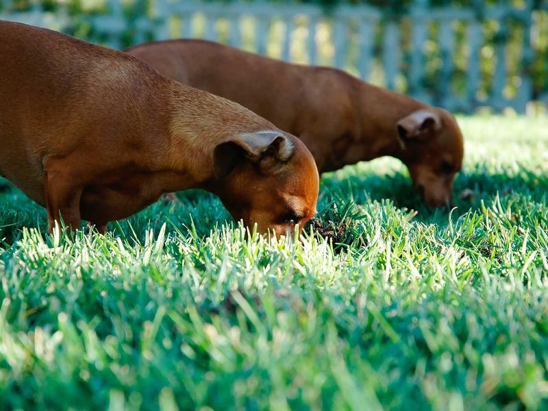 sudoku number placement screenshot 1